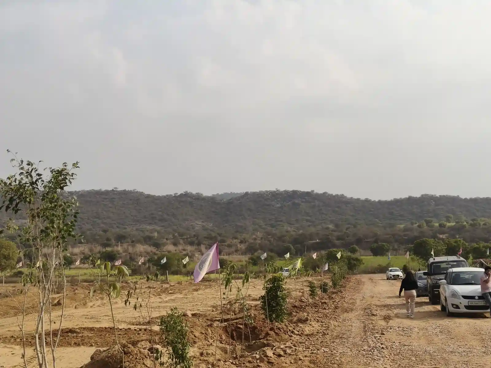 virat heritage farms site view 1