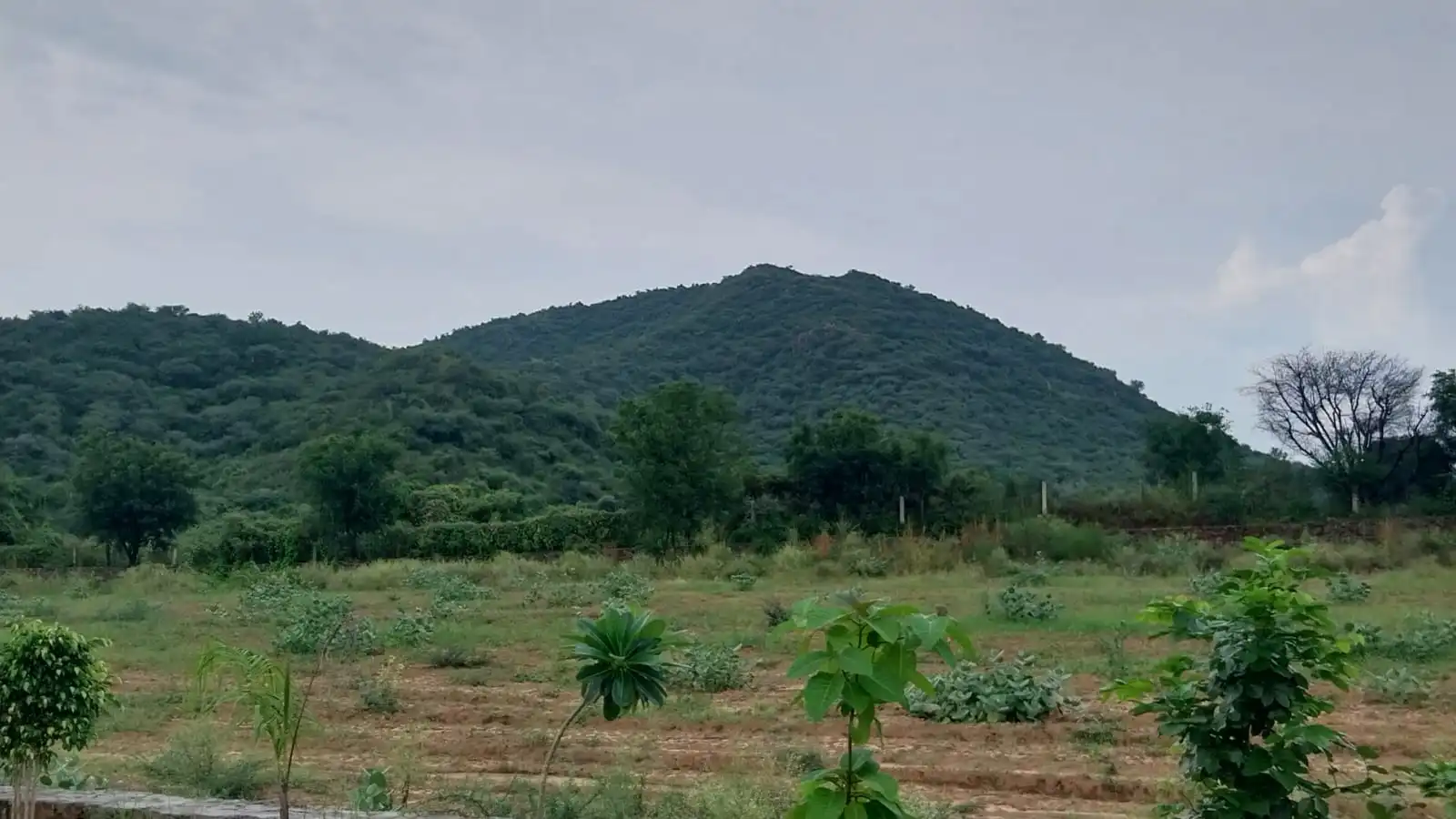 virat heritage farms site view 4
